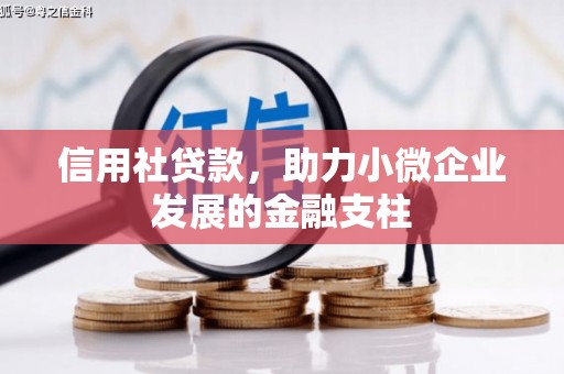 昭化信用社贷款，助力小微企业发展的金融支柱
