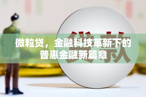 昭化微粒贷，金融科技革新下的普惠金融新篇章