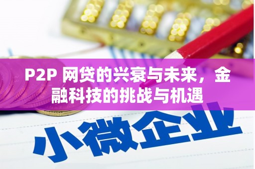 昭化P2P 网贷的兴衰与未来，金融科技的挑战与机遇