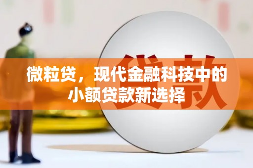 昭化微粒贷，现代金融科技中的小额贷款新选择