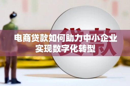 昭化电商贷款如何助力中小企业实现数字化转型