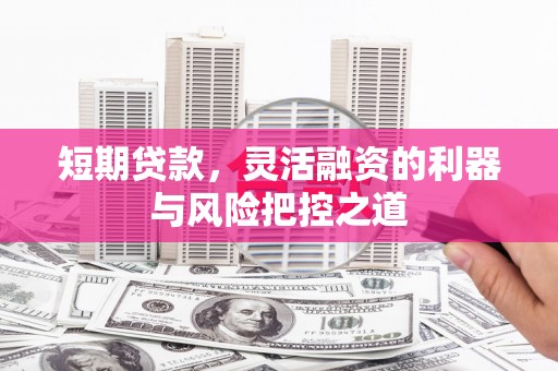 昭化短期贷款，灵活融资的利器与风险把控之道