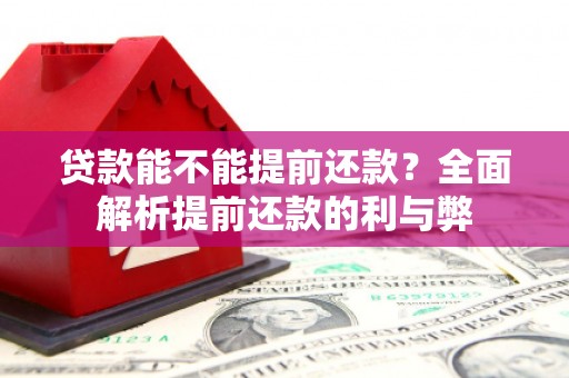 昭化贷款能不能提前还款？全面解析提前还款的利与弊