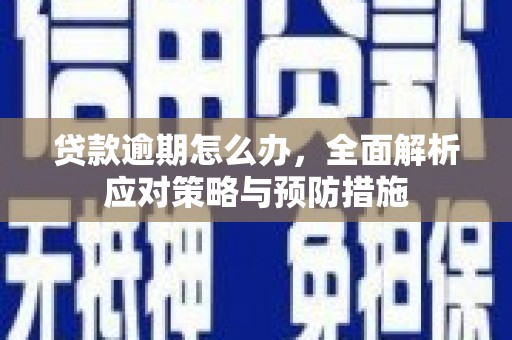 昭化贷款逾期怎么办，全面解析应对策略与预防措施