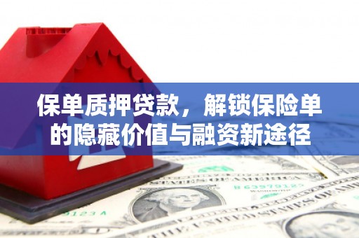 昭化保单质押贷款，解锁保险单的隐藏价值与融资新途径