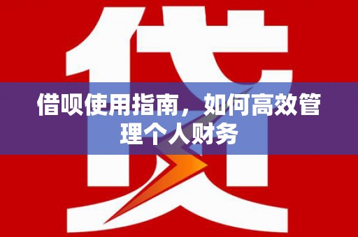 昭化借呗使用指南，如何高效管理个人财务