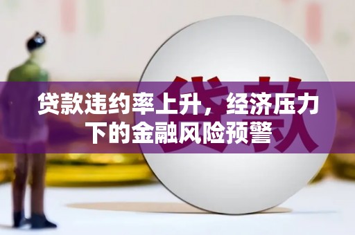 昭化贷款违约率上升，经济压力下的金融风险预警