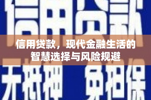 昭化信用贷款，现代金融生活的智慧选择与风险规避
