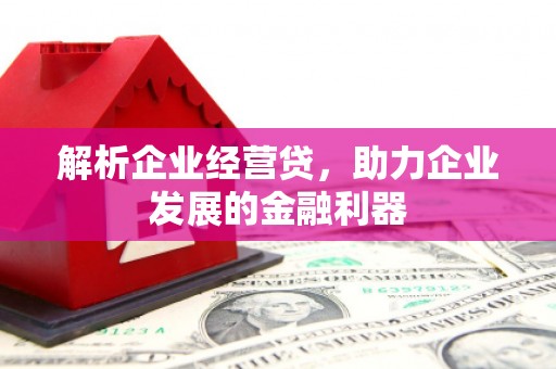 昭化解析企业经营贷，助力企业发展的金融利器