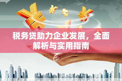昭化税务贷助力企业发展，全面解析与实用指南