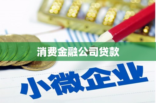 昭化消费金融公司贷款