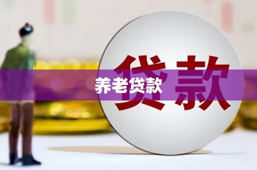 昭化养老贷款