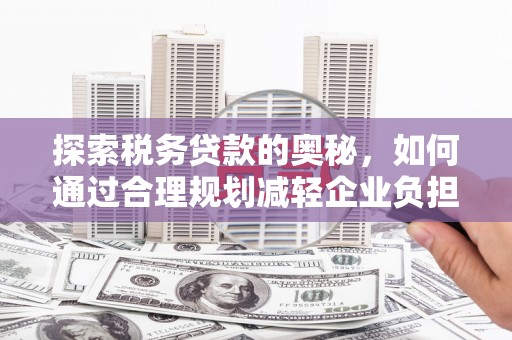 昭化探索税务贷款的奥秘，如何通过合理规划减轻企业负担