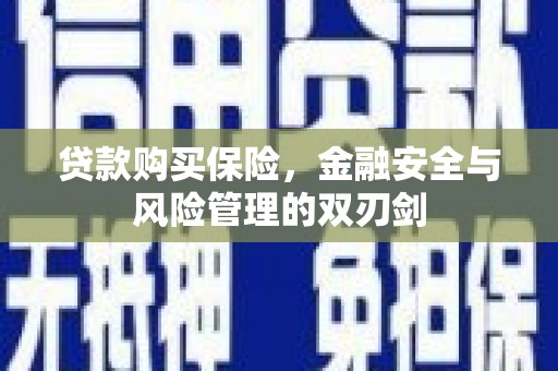 昭化贷款购买保险，金融安全与风险管理的双刃剑