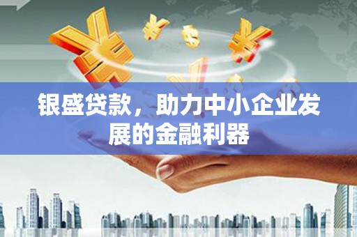 昭化银盛贷款，助力中小企业发展的金融利器