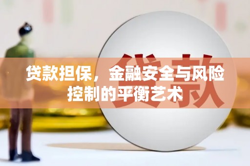 昭化贷款担保，金融安全与风险控制的平衡艺术