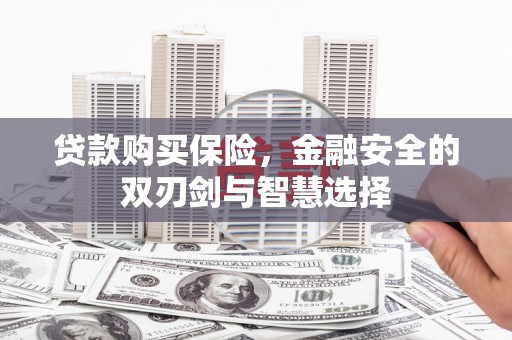 昭化贷款购买保险，金融安全的双刃剑与智慧选择