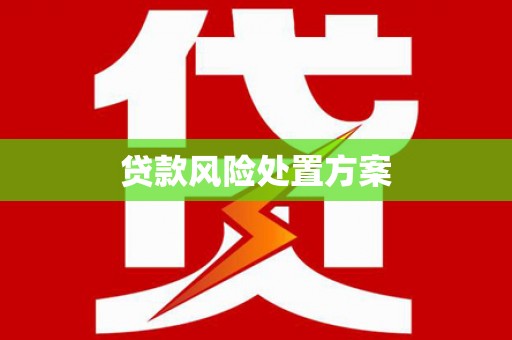 昭化贷款风险处置方案