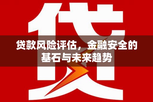 昭化贷款风险评估，金融安全的基石与未来趋势