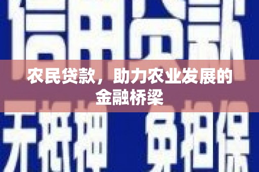 昭化农民贷款，助力农业发展的金融桥梁
