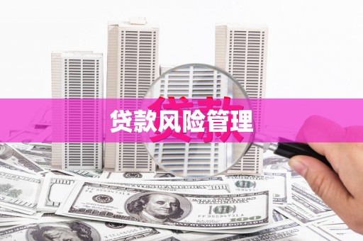 昭化贷款风险管理