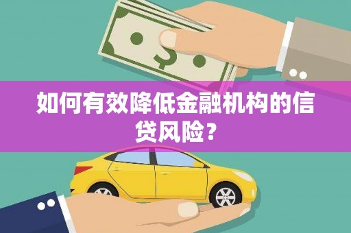 昭化如何有效降低金融机构的信贷风险？