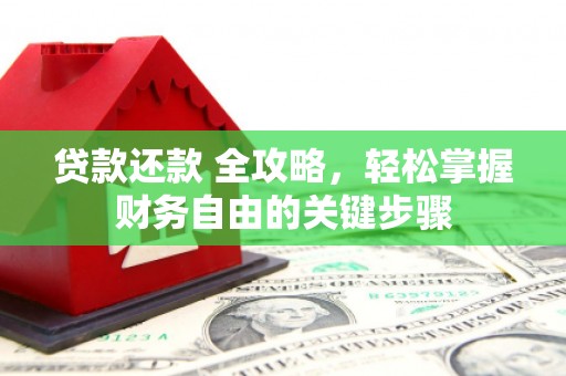 昭化贷款还款 全攻略，轻松掌握财务自由的关键步骤
