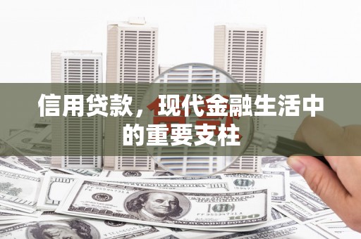 昭化信用贷款，现代金融生活中的重要支柱