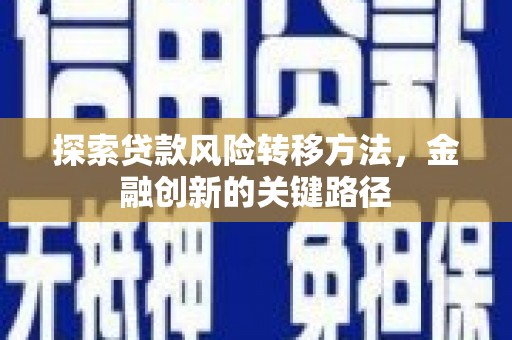 昭化探索贷款风险转移方法，金融创新的关键路径