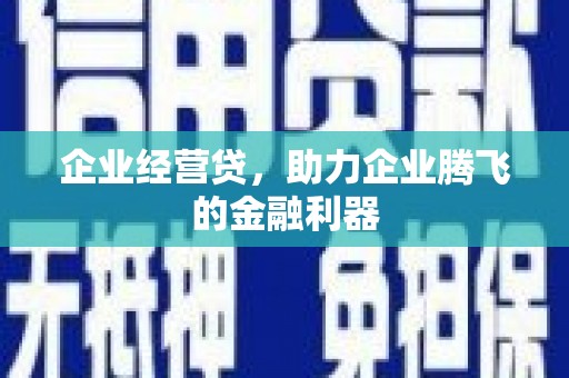 昭化企业经营贷，助力企业腾飞的金融利器