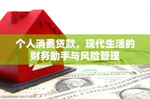 昭化个人消费贷款，现代生活的财务助手与风险管理