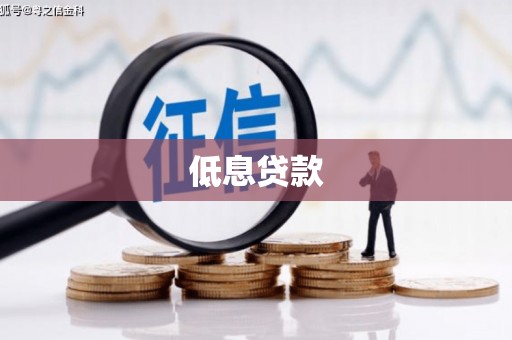 昭化低息贷款