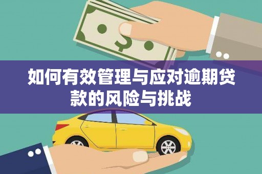 昭化如何有效管理与应对逾期贷款的风险与挑战