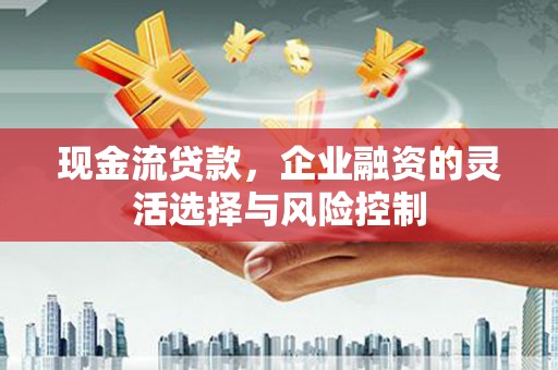 昭化现金流贷款，企业融资的灵活选择与风险控制