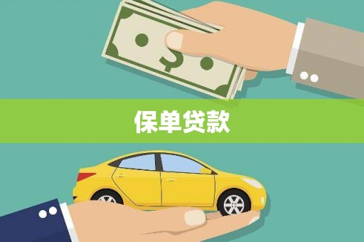 昭化保单贷款
