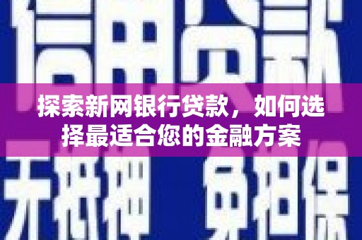 昭化探索新网银行贷款，如何选择最适合您的金融方案