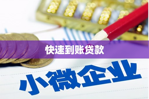 昭化快速到账贷款