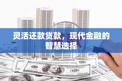 昭化灵活还款贷款，现代金融的智慧选择