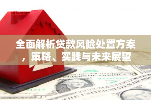 昭化全面解析贷款风险处置方案，策略、实践与未来展望