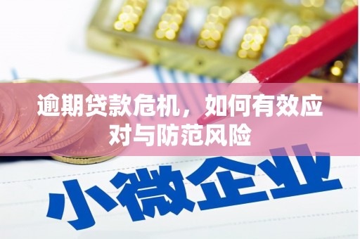 昭化逾期贷款危机，如何有效应对与防范风险