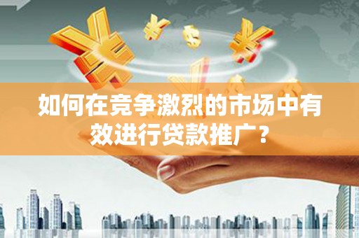 昭化如何在竞争激烈的市场中有效进行贷款推广？