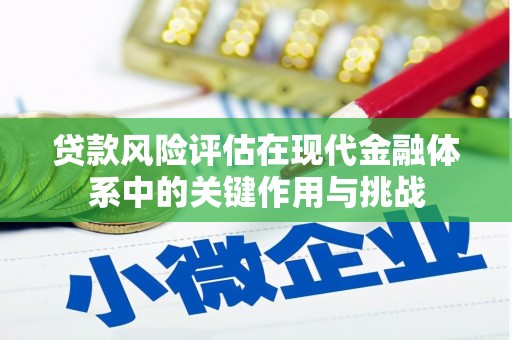 昭化贷款风险评估在现代金融体系中的关键作用与挑战