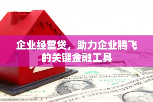 昭化企业经营贷，助力企业腾飞的关键金融工具