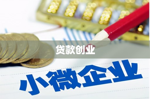 昭化贷款创业