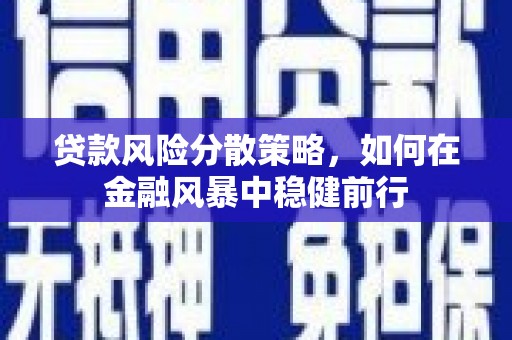 昭化贷款风险分散策略，如何在金融风暴中稳健前行