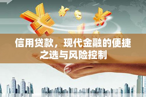 昭化信用贷款，现代金融的便捷之选与风险控制
