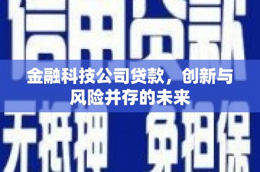 昭化金融科技公司贷款，创新与风险并存的未来