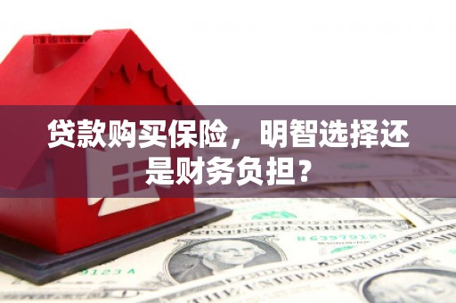 昭化贷款购买保险，明智选择还是财务负担？