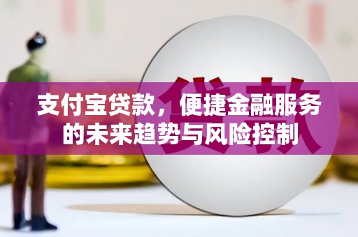 昭化支付宝贷款，便捷金融服务的未来趋势与风险控制