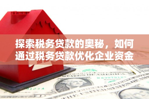 昭化探索税务贷款的奥秘，如何通过税务贷款优化企业资金流